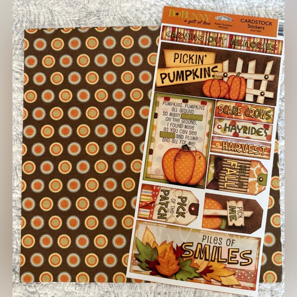 🆕🍂 BO BUNNY “CARVING OUT MEMORIES” SCRAPBOOK PAPER & MATCHING STICKERS.